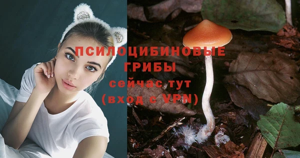гидропоника Балахна